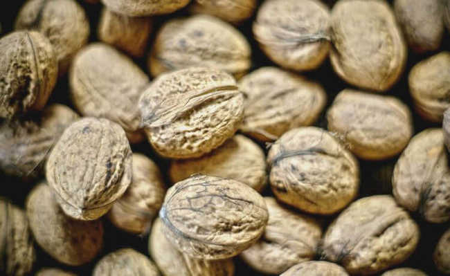 nozes Alimentos que ajudam a emagrecer
