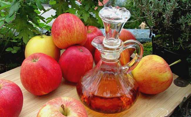 vinagre de cidra de maçã Alimentos que ajudam a emagrecer